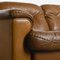DS 101 2-Sitzer Sofa von de Sede, 1970er 4