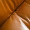 DS 101 2-Sitzer Sofa von de Sede, 1970er 14