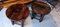 End Tables attributed to Charles Dudouyt, 1940s, Set of 2, Image 4