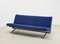 D70 Sofa by Osvaldo Borsani for Tecno, Italy, 1954 1