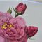 Pierre-Joseph Redouté, Roses, 1950s, Lithographs, Framed, Set of 2 23