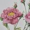 Pierre-Joseph Redouté, Roses, 1950s, Lithographs, Framed, Set of 2 21