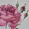 Pierre-Joseph Redouté, Roses, 1950s, Lithographs, Framed, Set of 2 13