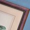 Pierre-Joseph Redouté, Roses, 1950s, Lithographs, Framed, Set of 2 10