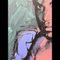 Después de Andy Warhol, Muhammad Ali Blue-Green, años 80, Impresión, Imagen 3