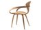 Mid-Century Modern Armchair attributed to Norman Cherner, 1950s, Image 13
