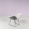 Little Diamond Chair by Harry Bertoia for Knoll International, USA, 1950s 6