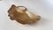 Skulpturaler Jugendstil Ginkgoblatt Catchall aus Poliertem Messing, 1970er 5