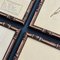 Swiss Herbarium Panels from École Dagriculture de Grangeneuve, 1920s, Set of 4 21