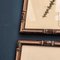 Swiss Herbarium Panels from École Dagriculture de Grangeneuve, 1920s, Set of 4 24
