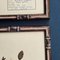 Swiss Herbarium Panels from École Dagriculture de Grangeneuve, 1920s, Set of 4 20