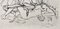 Salvador Dali, Oiseaux Gourmandeur de l'Isle Sonnante from Les Songes Drôlatiques de Pantagruel, Original Large Lithograph, 1973 3