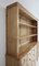 Apothekerschrank aus Weichholz von Befos 31