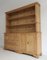 Apothekerschrank aus Weichholz von Befos 10