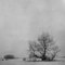 Rosa Basurto, Blanco 7, Photographie Noir et Blanc sur Papier Coton 1