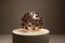 Riccio Vase by Gae Aulenti for Venini, 2003 4