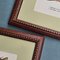 Karl Eckstein, Lepidoptera, 1915, Lithographs, Framed, Set of 3 18