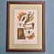 Karl Eckstein, Lepidoptera, 1915, Lithographs, Framed, Set of 3 7