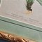 Anton Hartinger, Flora Alpina, 1897, Lithographs, Framed, Set of 4 11