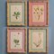 Anton Hartinger, Flora Alpina, 1897, Lithographs, Framed, Set of 4 1