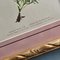 Anton Hartinger, Flora Alpina, 1897, Lithographs, Framed, Set of 4 14