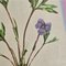 Anton Hartinger, Flora Alpina, 1897, Lithographs, Framed, Set of 4 9