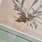 Anton Hartinger, Flora Alpina, 1897, Lithographs, Framed, Set of 4 8
