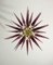 Sputnik Chandeliers, Murano, Italy, 1990s, Set of 2, Image 12