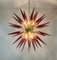 Sputnik Chandeliers, Murano, Italy, 1990s, Set of 2, Image 4