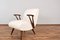 Mid-Century Modern Polish Lounge Chairs, 1960s, Set of 2, Image 15