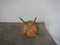 Brown Beech Chair, 1950 6