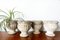 Antique Medici Stone Planters, Set of 4, Image 2