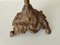 French Brass Fabric Scale, Besson Paris, 1800s 11