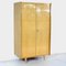 Mid-Century Modern Two-Door Wardrobe, 1950s 5
