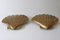 Mid-Century Large Brass Shell Sconces by Hans Möller 1960s, Set of 2, Image 6