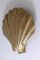 Mid-Century Large Brass Shell Sconces by Hans Möller 1960s, Set of 2, Image 13