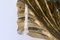 Mid-Century Large Brass Shell Sconces by Hans Möller 1960s, Set of 2, Image 19