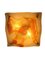 Wall Light by Albano Poli for Mazzega, 1970, Image 3