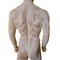 Clara Quien, Full Figure Statue, 1933, Plaster 11