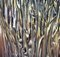 Aplique de cristal de Murano de Toni Zuccheri para Venini, años 60, Imagen 3