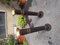 Pots de Fleurs en Laiton Laqué Noir, 1950s, Set de 2 7