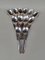 Silver-Plated Monaco Grand Prix Soup Spoons, 1950s, Set of 12 1