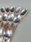 Silver-Plated Monaco Grand Prix Soup Spoons, 1950s, Set of 12 7