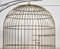 Substantial Brass Bird Cage, 1890s 9