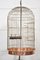 Substantial Brass Bird Cage, 1890s 5