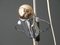 Lámpara de pie de metal cromado de Francesco Fois para Reggiani, años 60, Imagen 5