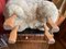 Wool Lamb by Hanns Peter Krafft, Germany, 1970s 11