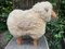 Wool Lamb by Hanns Peter Krafft, Germany, 1970s 8