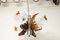 Murano Glass and Teak Chandelier from Mazzega, 1960s, Image 19