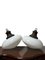 Set Englische Ovaloide Vintage Church Deckenlampen aus Milchglas & Glas, 1920er, 2er Set 1